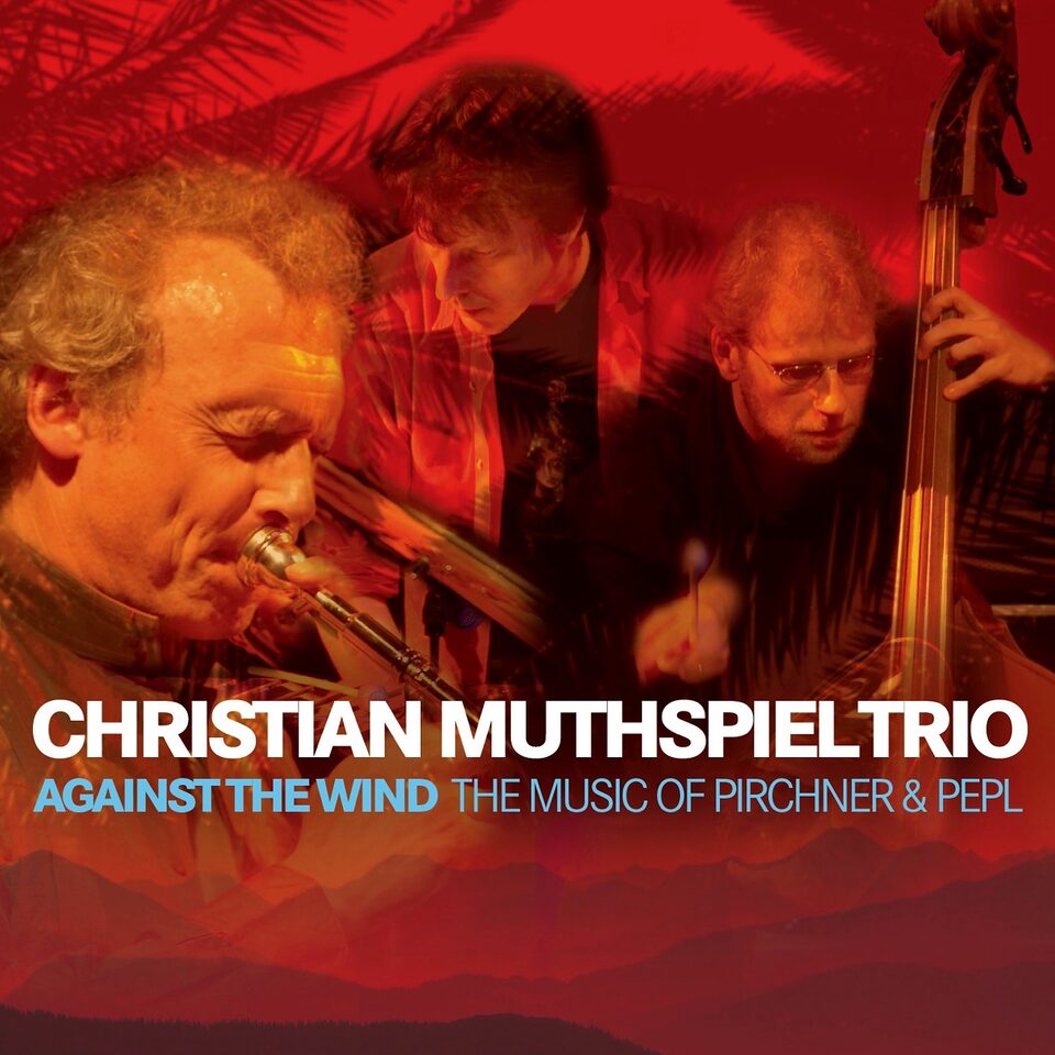 Cover: Against The Wind